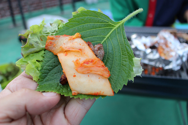 resize10082 写真: resize10082