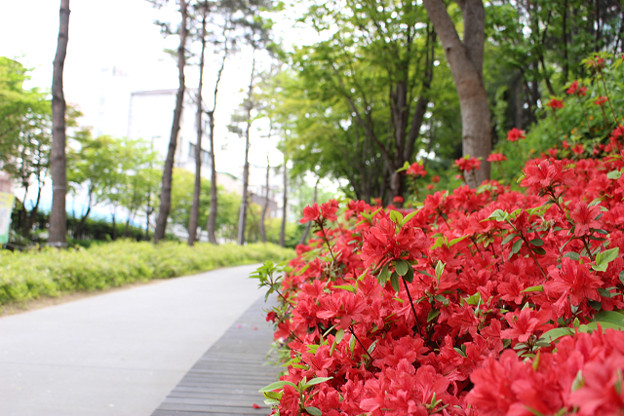 resize10171 写真: resize10171