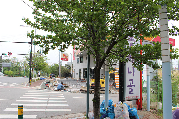 resize10204 写真: resize10204