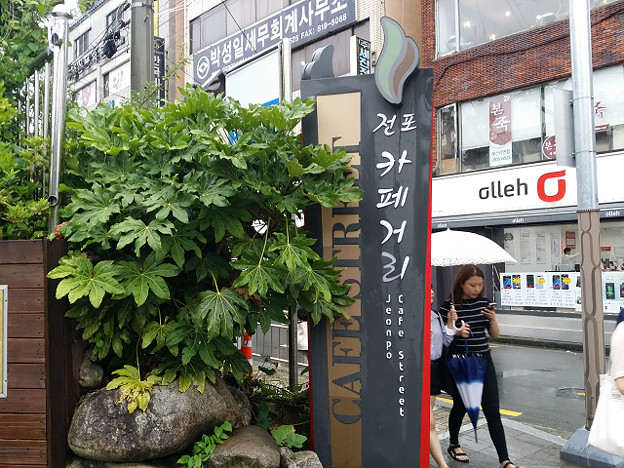 resize11894 写真: resize11894