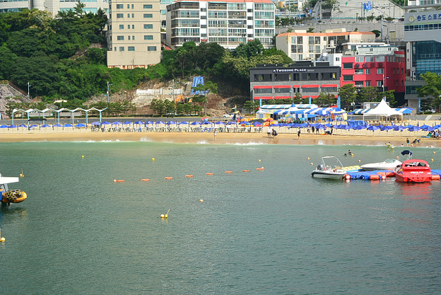resize11595 写真: resize11595