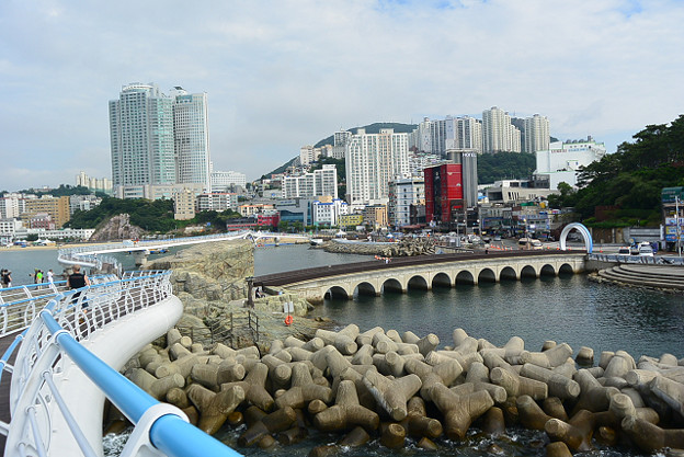 resize11586 写真: resize11586