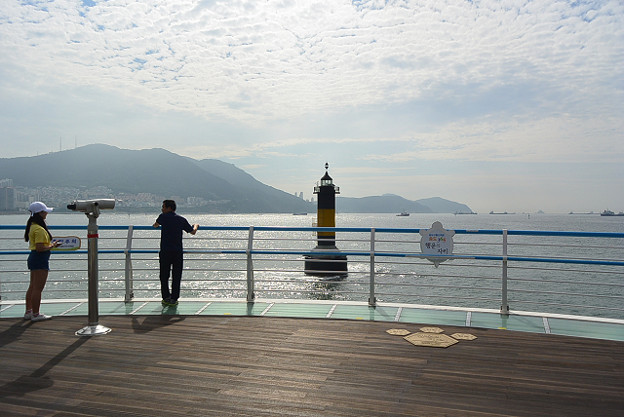 resize11584 写真: resize11584