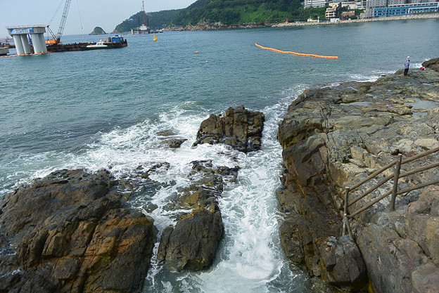resize11574 写真: resize11574