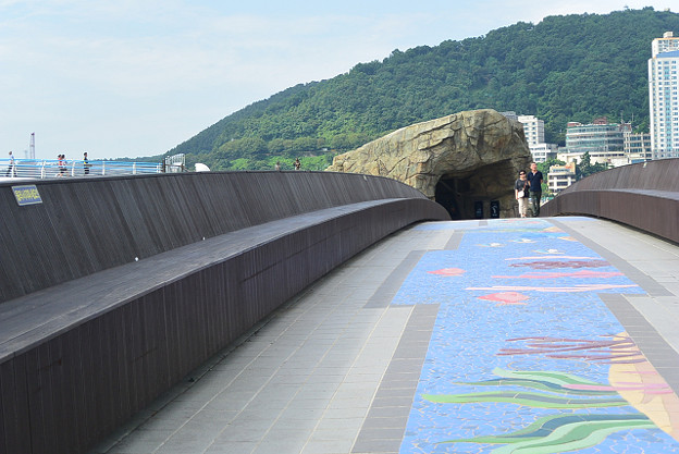 resize11554 写真: resize11554