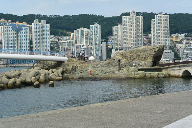 resize11553 写真: resize11553