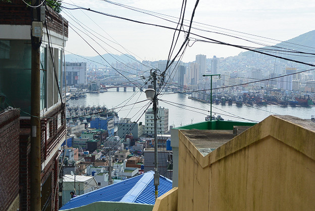 resize11607 写真: resize11607