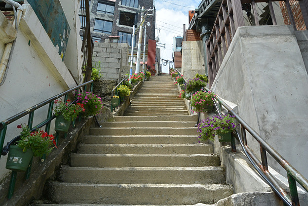 resize11729 写真: resize11729