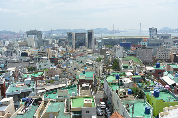 resize11717 写真: resize11717
