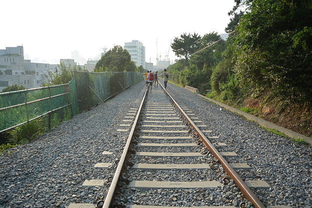 resize11782 写真: resize11782