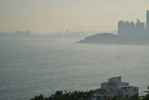 resize11774 写真: resize11774