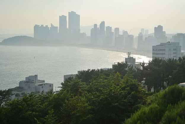 resize11773 写真: resize11773