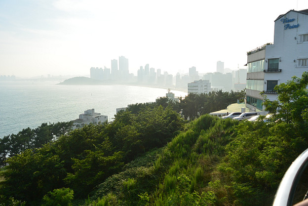 resize11772 写真: resize11772