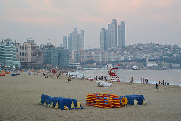 resize11797 写真: resize11797