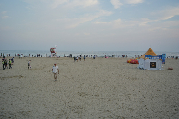 resize11789 写真: resize11789
