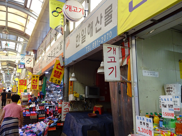 resize12122 写真: resize12122