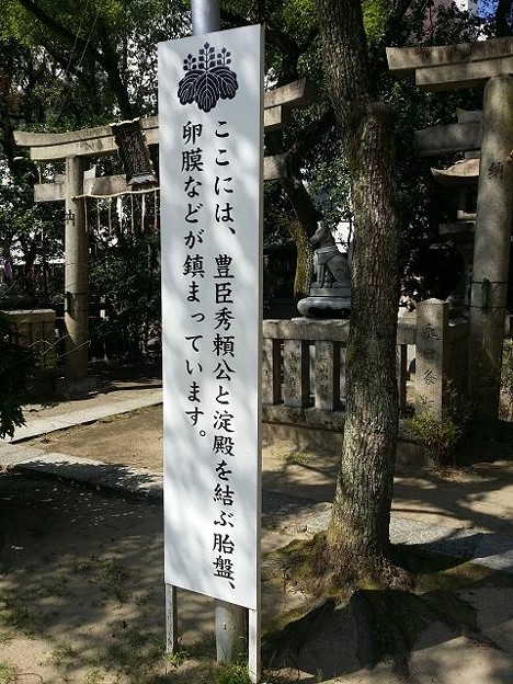 resize12490 写真: resize12490