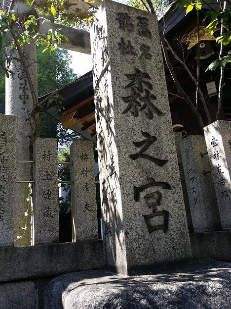 resize12485 写真: resize12485