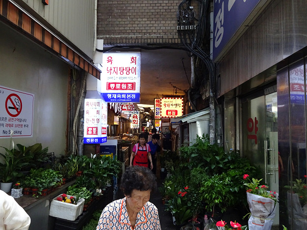 resize12275 写真: resize12275