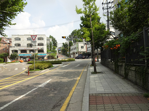 resize12380 写真: resize12380