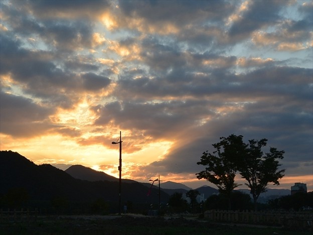 DSC_8767_R_R 写真: DSC_8767_R_R