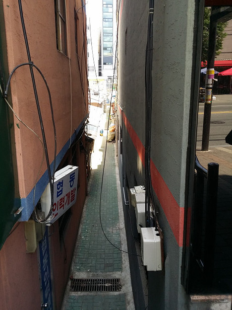 resize11282 写真: resize11282
