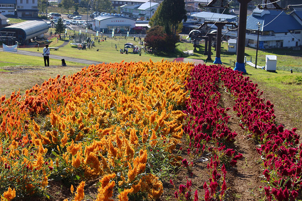 resize13733 写真: resize13733