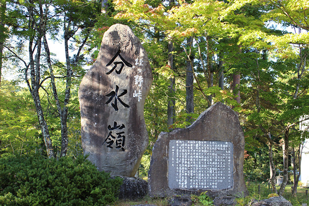 resize13744 写真: resize13744