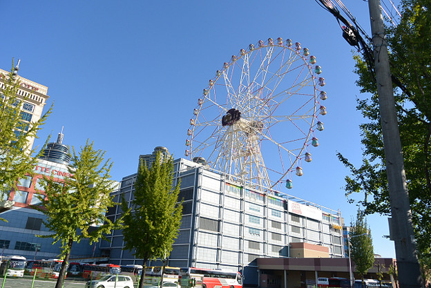 resize13003 写真: resize13003