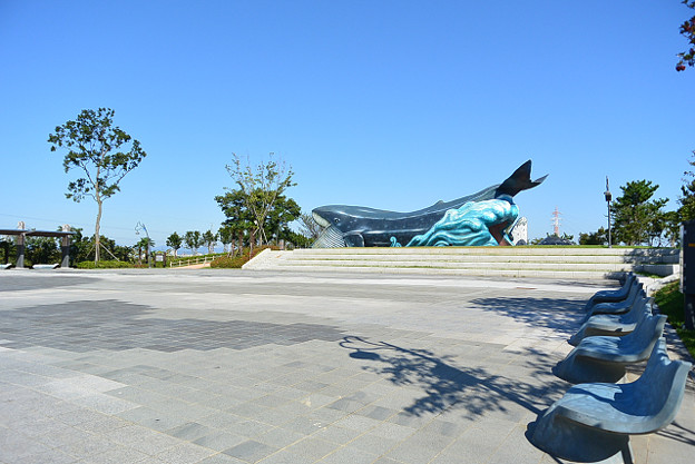 resize13065 写真: resize13065