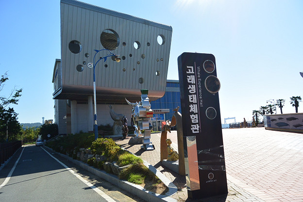 resize13089 写真: resize13089