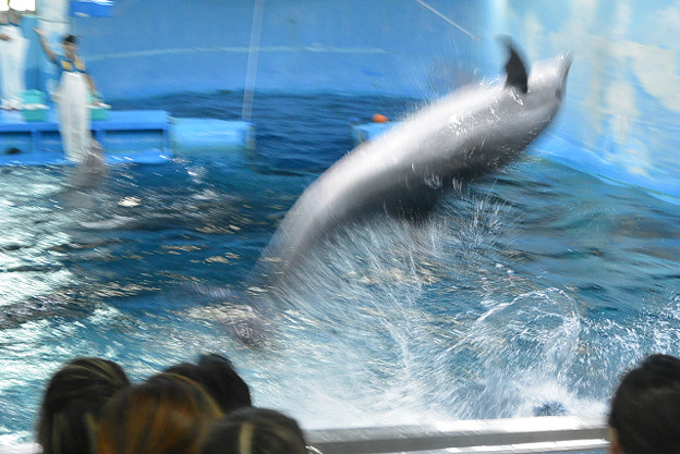 resize13123 写真: resize13123