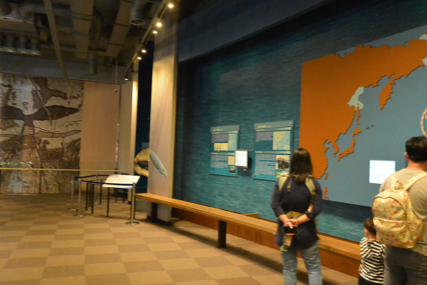 resize13152 写真: resize13152