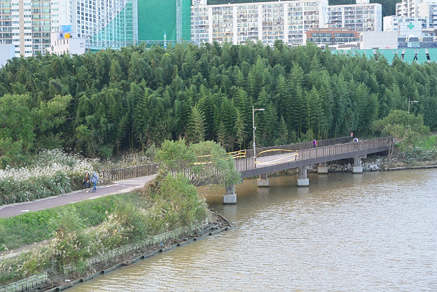 resize13251 写真: resize13251
