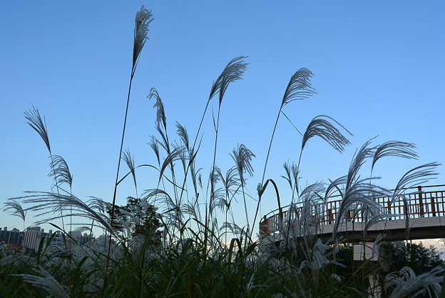 resize13257 写真: resize13257