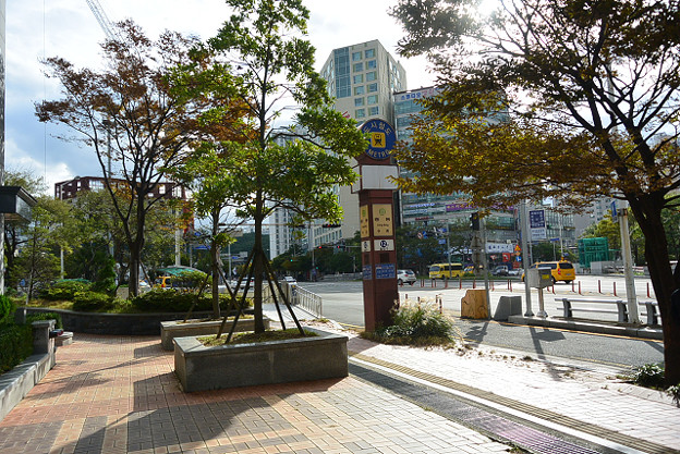 resize13337 写真: resize13337