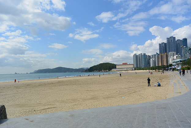 resize13365 写真: resize13365