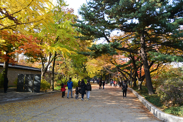resize13807 写真: resize13807