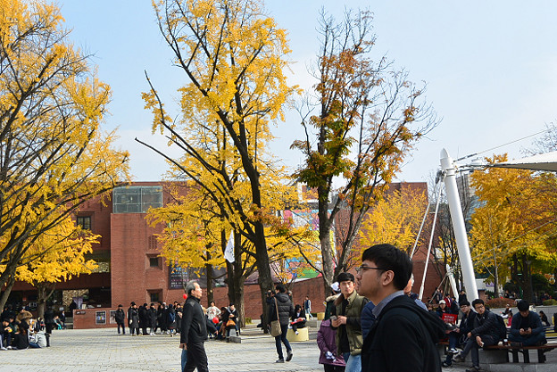 resize13875 写真: resize13875
