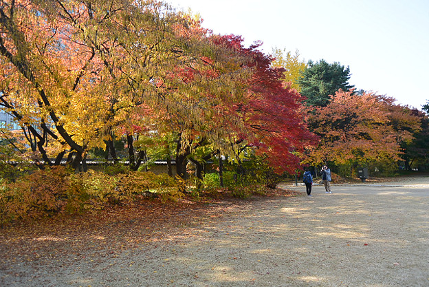 resize13809 写真: resize13809