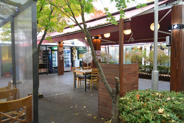 resize13847 写真: resize13847
