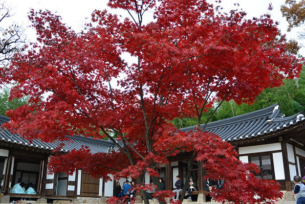 resize13896 写真: resize13896
