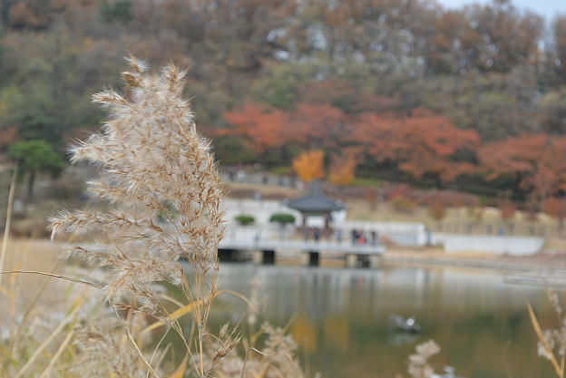 resize13901 写真: resize13901