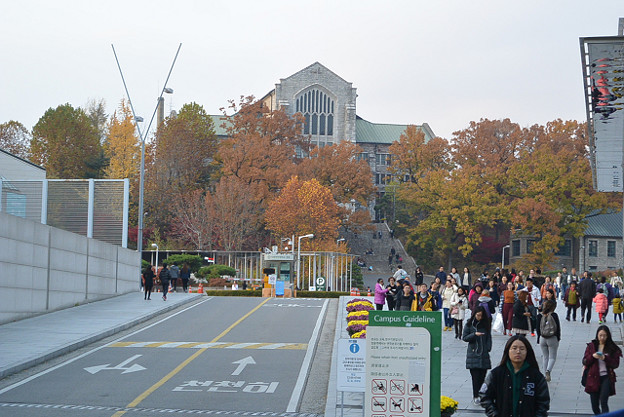 resize13931 写真: resize13931
