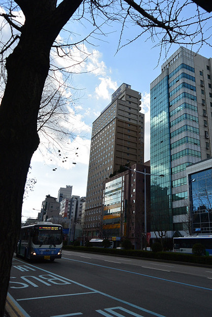 resize14519 写真: resize14519