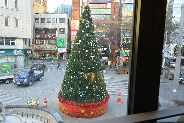 resize14491 写真: resize14491