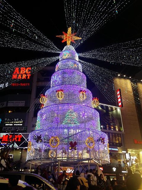 resize14589 写真: resize14589