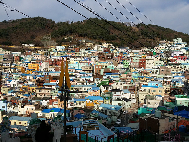 resize14631 写真: resize14631
