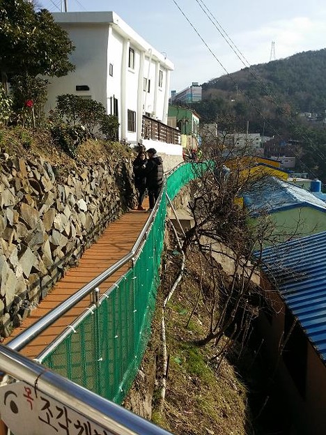 resize14682 写真: resize14682