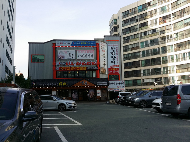 resize14691 写真: resize14691